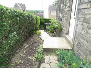 Side Garden- click for photo gallery